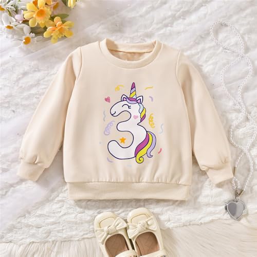 3rd Birthday Outfits for Toddler Girls 3 Year Old Third Three Sweatshirt Tutu Skirt Fall Clothes2