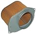 Hiflofiltro HFA3607 Premium OE Replacement Air Filter