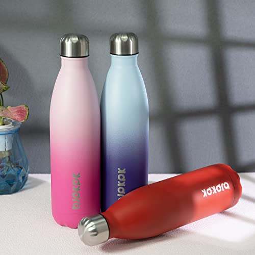 Image of BJPKPK 25 oz Insulated Water Bottle, Stainless Steel Flask, Leak Proof