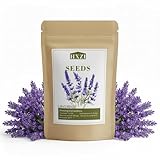 10,000 English Lavender Seeds for Planting Indoors or Outdoors, Flower Seeds for Planting