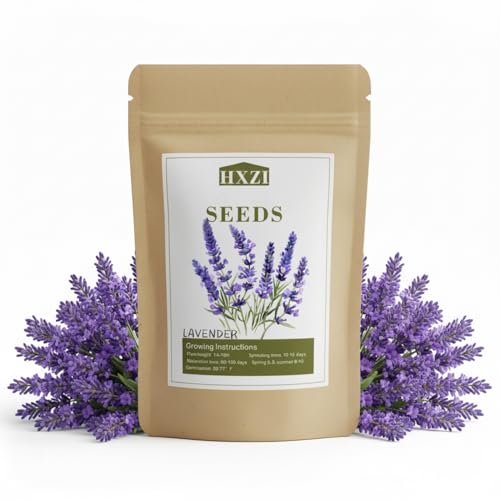 10,000 English Lavender Seeds for Planting Indoors or Outdoors, Flower