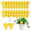 D|Yellow