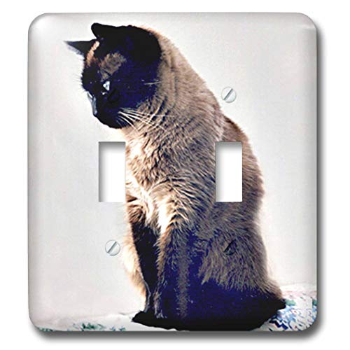 Double interrupteur à bascule chat siamois 3dRose Lsp_645_2