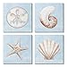 Stupell Industries Water Patterned Sea Life Shells 4pc Canvas Wall Art Set, Design by Diannart
