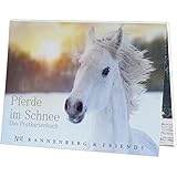 Maße 15,4 x 11,5 cm NN. 15 wunderschöne Postkarten  Pferde im Schnee  Postkartenbuch