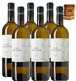 José Pariente - Envío Gratis 24H - DO Rueda - Vino Regalo - Cosecha Privada (6 x Botella 75 cl, Sauvignon Blanc)