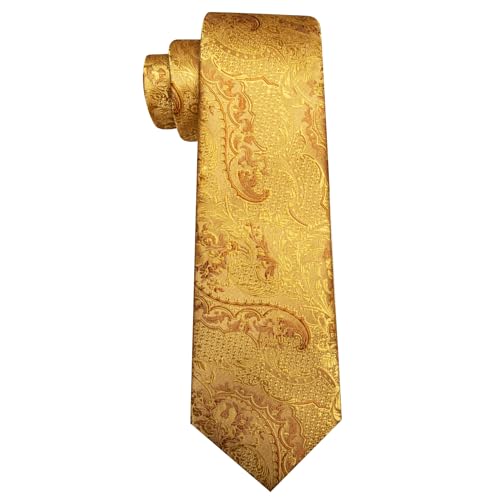 Image of Barry.Wang Paisley Tie for Men Silk Woven Necktie and Tie Clip Set Wedding Party Business Formal