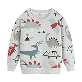 ✤Eigenschaften: Kinder Sweatshirt mit Cartoon Dinosaurier bedruckt, lange Ärmel, Rundhalsausschnitt, hochelastisch fest und süß, bequem zu schrumpfen oder auszuziehen, nicht verblassen oder Pilling.