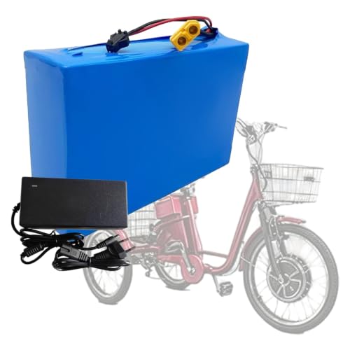Batería para bicicleta eléctrica 36V 9Ah: soluciona la falta de autonomía