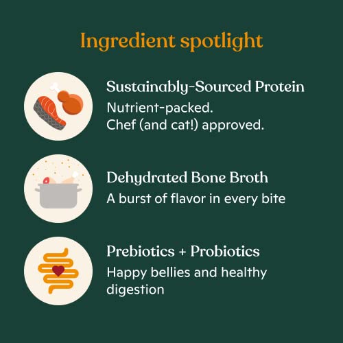 Made By Nacho Premium Dry Kibble Infused With Bone Broth 2Lb Bag Cat Food (Cage-Free Chicken, Duck & Quail) #TOP3