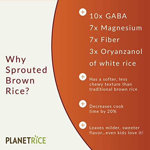 Planet Rice Sprouted Brown Gaba Rice for Meal Prep and Bulk Cooking - Gluten-Free, Vegan, Paleo, Non-Allergenic with 64% more Fiber - Soft and Chewy Texture - 25 Pounds