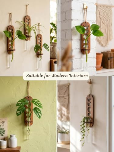 Image of Bombay Greens Lunar Wall Hanging Planter with Wooden Holder & Rope | Test Tube Hanging Planter | Wooden Stand for Home Decor, Living Room, Balcony & Office Decoration