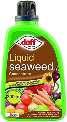 Doff 1L Liquid Seaweed Concentrated Multi-Purpose Feed, Multicoloured, F-JO-A00-DOF