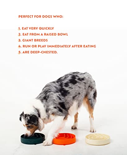 Burly’s Slow Feeder Dog Bowl + Spatula By The Burly Brand, Gulp-Free Design, Longer Mealtime, Health And Wellness, Silicone Dog Bowl For Medium To Large Breeds. Dog Bowls For Large Dogs. (Dark Green) #TOP5
