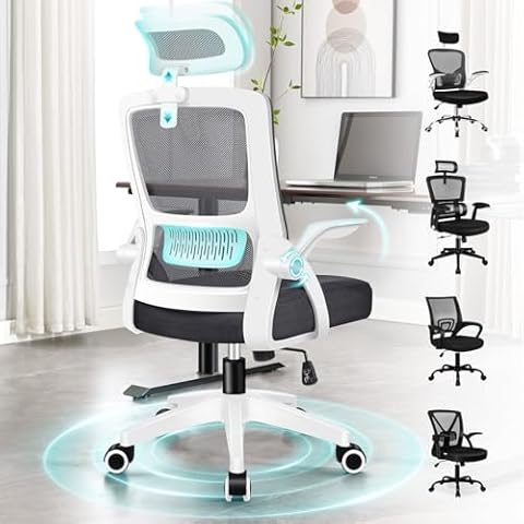 ELFORDSON Ergonomic Office Chair with Footrest Cover