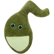 GIANT MICROBES Gallbladder Plush, Gallbladder Surgery Recovery Items, Post-Gallbladder Surgery Must Haves, Anatomy Gifts, Gastroenterology Gifts, Laparoscopic Gift, Cholecystectomy Gift Regular
