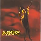Pushmonkey