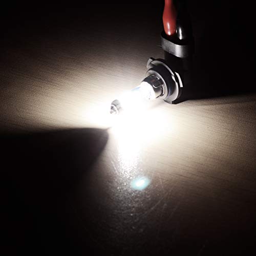 WinPower HB4 9006 55W Halogen Nebelscheinwerfer für Fahrzeuge
