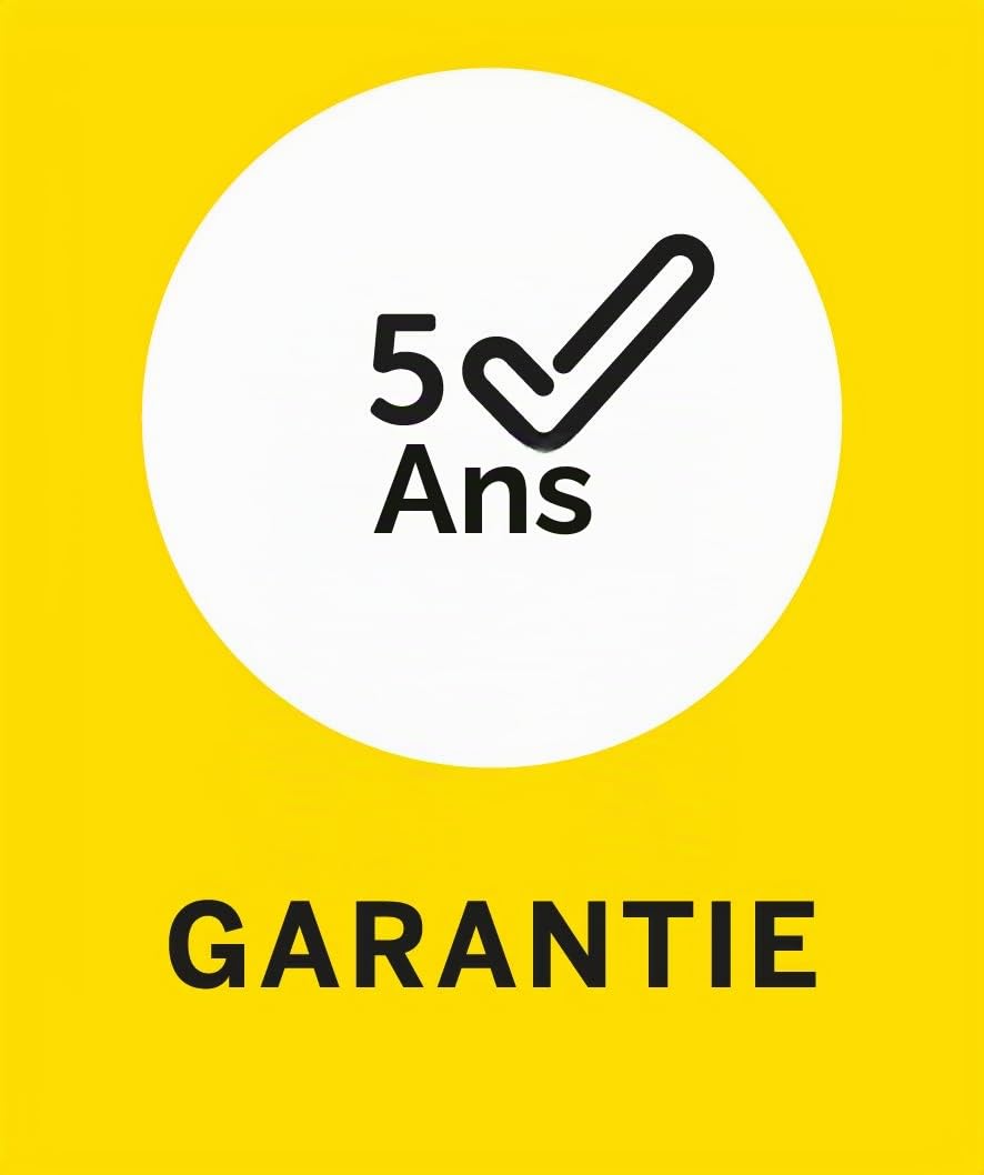 EHMANN 2521x0000 Variateur à cordon T25.10 noir, contrôle de phase, 230 V, 50 Hz, puissance 20-500 W/VA