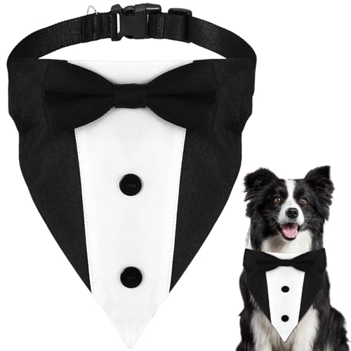 ���p�^�L�V�[�h�A�^�b�N�X�X�[�c���̃E�F�f�B���O�ߑ��o���_�i�A���l�N�^�C�̋ݕt���A���^�A���^�A��^�y�b�g�h�b�O�A���߉\�Ȍ��p�^�b�N�X�t�H�[�}���R�X�`���[��(�u���b�N&�z���C�g)