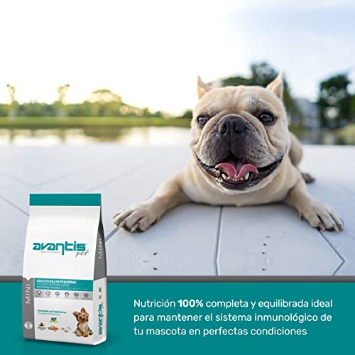 Avantis Pet Mini Futtermittel für Erwachsene Hunde Kleiner Rassen, 2 kg, dreifacher Aktion, fördert das Immunsystem und die Verdauung, sehr verdaulich mit Huhn, Gemüse und Reis