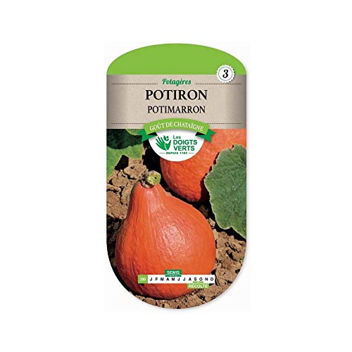Potiron Potimarron Cover