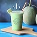 Big Train Dragonfly Honeydew Blended Crème Beverage Mix, 3.5 Pound (Pack of 1)