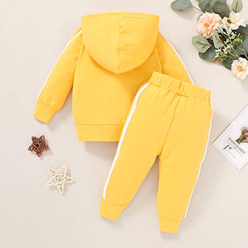Toddler Kids Baby Girl Fall Clothes Set Long Sleeve Solid Hoodie Sweatshirt Pants 2Pcs Casual Outfits (18-24 Months, Yellow) #TOP2