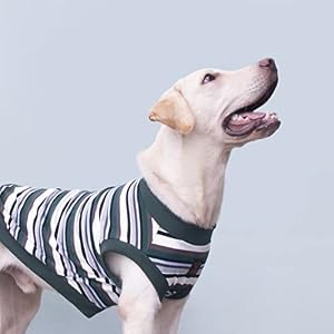 Extra Large Dog T shirts Clothes Sleeveless Tank Top Vest for Labrador Rottweiler Great Dane, Green, 8X-Large Extra Large Dog T shirts Clothes Sleeveless Tank Top Vest for Labrador Rottweiler Great Dane, Green, 8X-Large