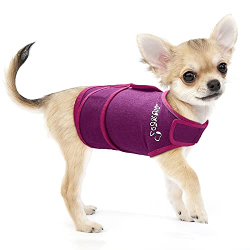 How To Buy Best Dog Anxiety Jackets 2023, Reviewed By Experts The