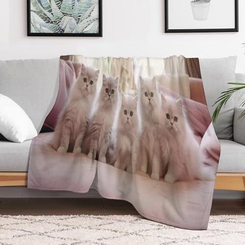 Couverture chat douce flannel pour sieste sur canapé douillet