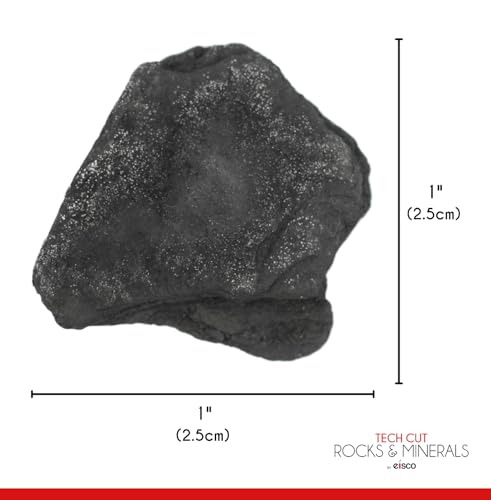 EISCO Raw Anthracite Coal, Metamorphic Rock Specimen - Approx. 1" - Geologist Selected & Hand Processed - Great for Science Classrooms (1)