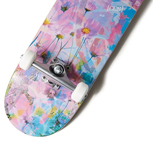 Image of [CCS] Skateboard Complete | Maple Wood | Professional Grade | Fully Assembled with Skate Tool & Stickers | Adults, Kids, Teens, Youth | Boys & Girls
