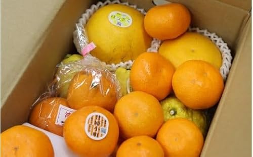 [ふるさと納税]観音山フルーツ詰め合わせ(シルバー)[J006-knny006]