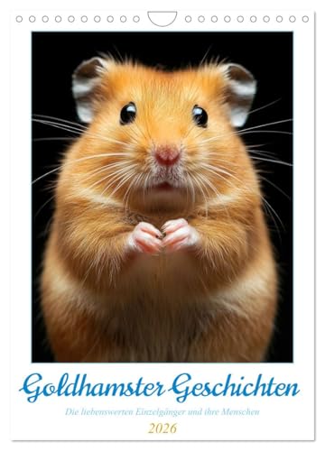 S[fnX^[Xg[[ AJ (Ǌ|J_[ 2026 DIN A4 |[g[g) CALVENDO 12Ǌ|J_[