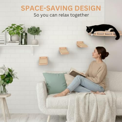 Cat Wall Shelves and Cat Corner Shelf, Cat Wall Furniture with Cat Shelves for Wall, Cat Shelf with Cozy Cushion and 3 Cat Wall Steps Included