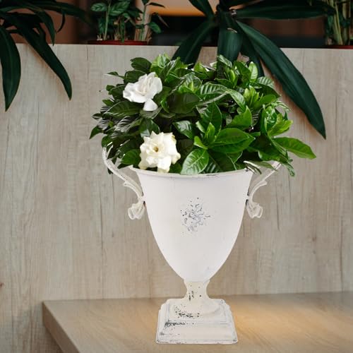 Vase à fleurs décoratif léger résistant soleil jardinière rétro blanc