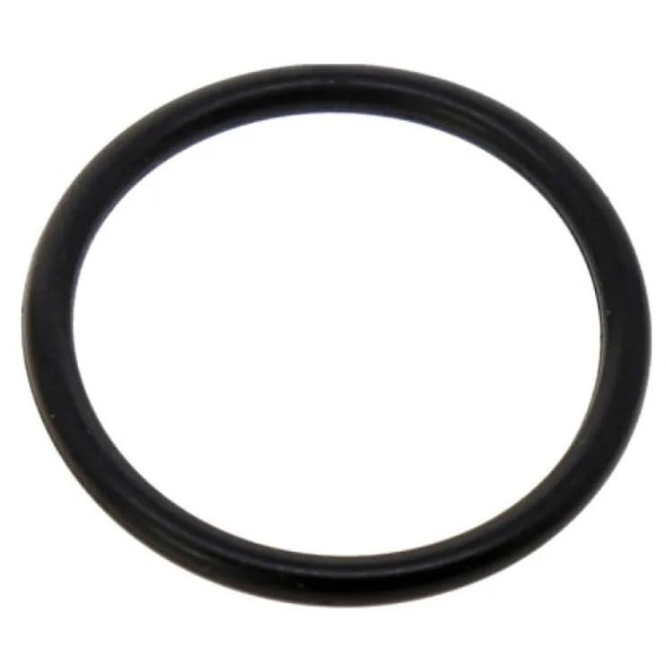 Joint torique de thermostat haute résistance pour moteur 191Q