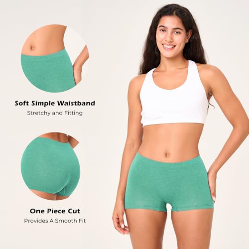 BAMBOO COOL Women's Boyshort Panties Seamless Underwear Stretchy Moisture Wicking Boxer Briefs for Ladies 5 Pack3
