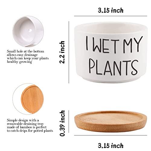 Funny Succulent Pots, 3.15 Inch Ceramic Flower Plant Pots With Bamboo Tray, Cute Cactus Planters With Drainage Hole, Birthday Gifts For Women, Plant Lover Gifts, Pack Of 3 - Plants Not Included #TOP1