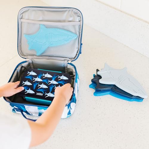 Image of Wildkin Reusable Food Container for Kids - Airtight, Leak Resistant, Dishwasher Safe - Sharks
