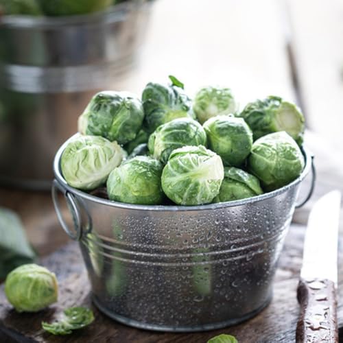 Semillas de coles de Bruselas, balcón resistentes para el jardín. semillas de jardín 100pcs