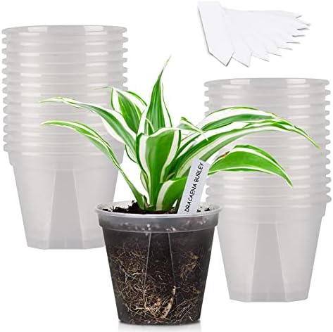 GREENPARA Transparent Plastic Planter 4 inch Plant Nursery Pots with Drainage Hole Indoor Modern Decorative Containers for Orchid Plants Herb Flowers Cactus with 10pcs Plant Labels, 26pcs