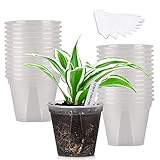 GREENPARA Transparent Plastic Planter 4 inch Plant Nursery Pots with Drainage Hole Indoor Modern Dec