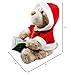 Cuddle Barn - Storytime Teddie | Animated Storytelling Holiday Bear Stuffed Animal Plush Toy Reads The Story T'was The Night Before Christmas, 10