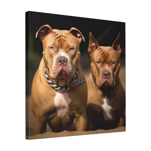 Toile pitbull moderne 40x40 cm pour salon et bureau élégant