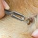 saizone Zeckenzange Zecken-Zange aus Pinzette Zeckenpinzette für Mensch, Hund, Katze, Haustiere, Kinder, Zuverlässig gegen Zecken jeder Größe, Premium Rostfrei Edelstahl mit Holster(1St)