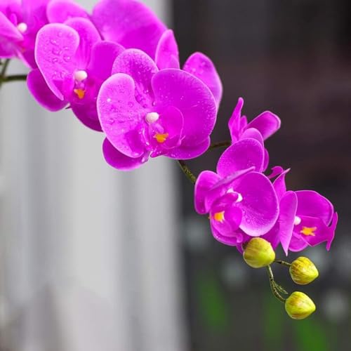 Fleurs artificielles de type orchidée classique pour vos décorations de table - 4