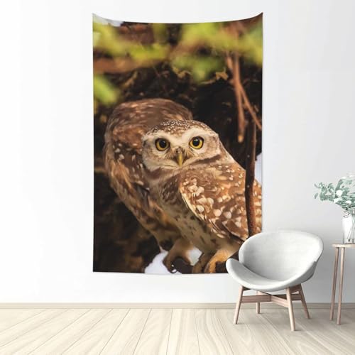 tNE̓1 ^yXg[ Ǌ| Ǐ @\ Ǌ| Ǐ EH[A[g ͗lւ  A[g  @\ z|X^[  } {I RiF IV wi Free Size