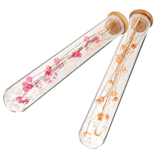 Gatuida 2pcs Bouquet de Flores Secas en Botella de Vidrio